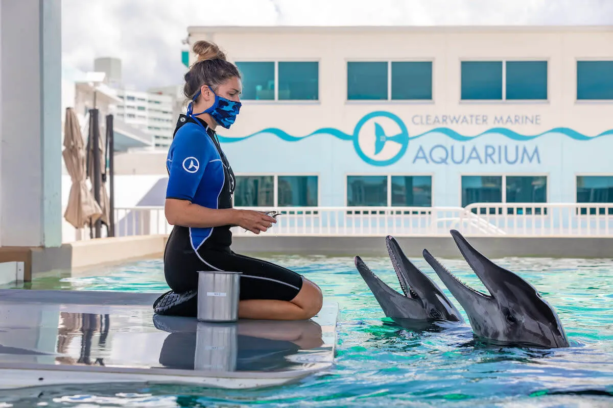 Clearwater Aquarium